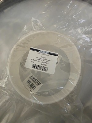 Sea-Doo RXP RXT 300 325 Pumpe Original WSM Verschleißring 2016 - 2026 267000917