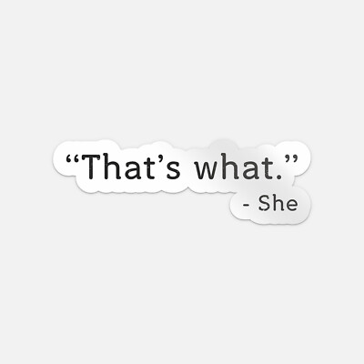 That's What She Said Quote Slogan Car Bumper Vinyl Sticker Decal