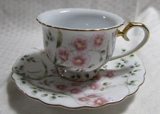 Spring Floral Porcelain China Footed Tea Cup and Saucer Set Gold Rose Backstamp
