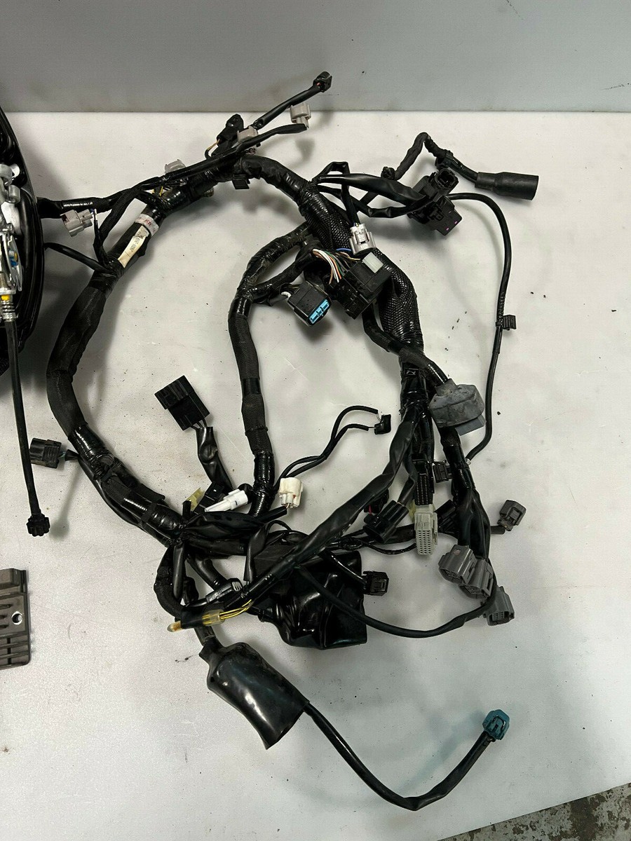 19-23 KAWASAKI NINJA ZX6R ZX636 ECU Wiring Harness Throttle 19-23 KAWASAKI NINJA ZX6R ZX636 ECU Wiring Harness Throttle