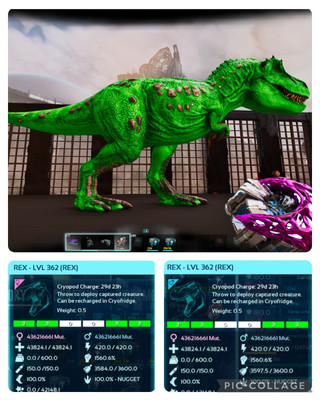 ark survival ascended pve SOLID 03 FULL GROW 100% IMPRINTED REXS