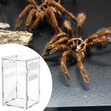 Jumping Spider Enclosure Clear Acrylic Terrarium for Snake Tortoise Gecko