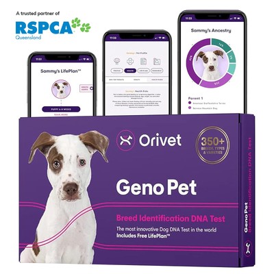 Genopet Dog DNA Test | Dog Breed Test Kit, Genetic Testing, Heritable Health ...