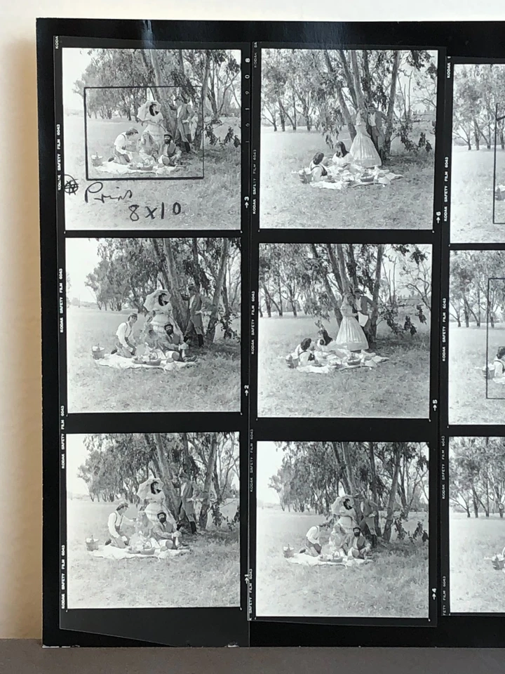 NEWLY FOUND! Hendrickson PHOTO Contact Sheet Proof & Negatives VICTORIAN COUPLES - image 3 of 4
