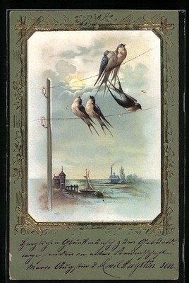Embossed Postcard Swallows on a Power Line 1900 