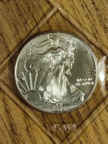 2013 Silver American Eagle 1oz .999 Solid Silver Bullion Coin Liberty