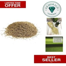 High Germination Shady Area Lawn Seed 200g for 4m² Coverage - Natural Blend 49.75 per kilo