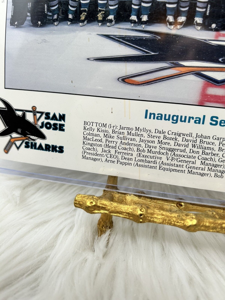 San Jose Sharks NHL Inaugural Season 1991-92 Official Team Photo
