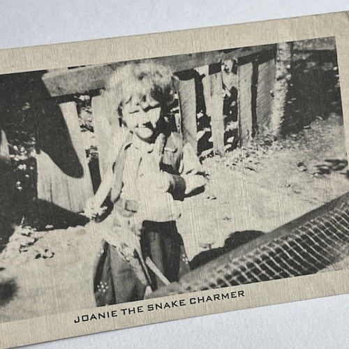 Fotografía postal de colección Joanie encanto de serpiente extraño animal salvaje granja Dells WI - Imagen 7 de 9