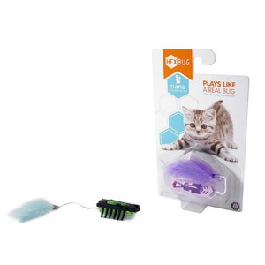 hexbug for cats