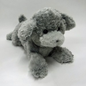 grey toy poodle puppy