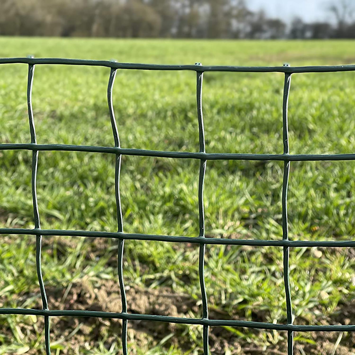 Green Plastic Garden Fencing Plant Mesh Fence 5mx0.5m Roll 50mm Square