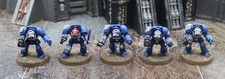 Space Marines Ultramarines 5x Terminators OOP - Artist Painted 5144