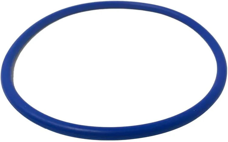 Pentair 356189Z 1/2" O-Ring Lid for IntelliFlo3 Pool Pump