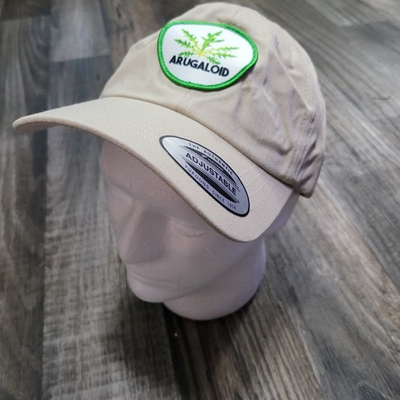 #ad #ad This Is Important Podcast Beige Badge Embroided Arugaloid Hat Workaholics $15.00