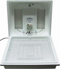 2100 Heated Still Air Incubator for 4 Dozen Eggs with Built in Hygrometer, Solid