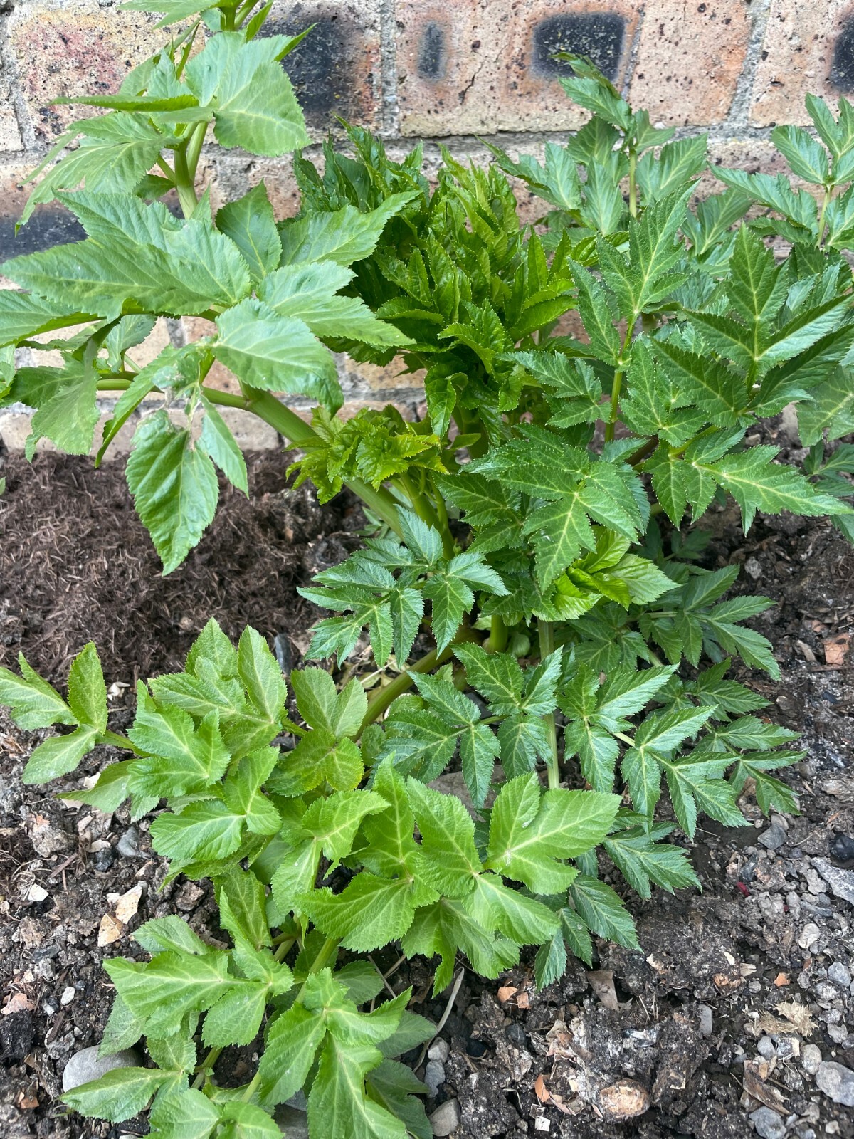 Picture 1 of 3