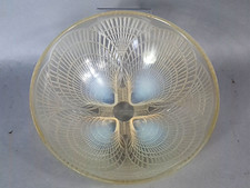 René Lalique Coppa Con Conchiglie Vetro Opalescente Firmata Creata Nel 1924 C448