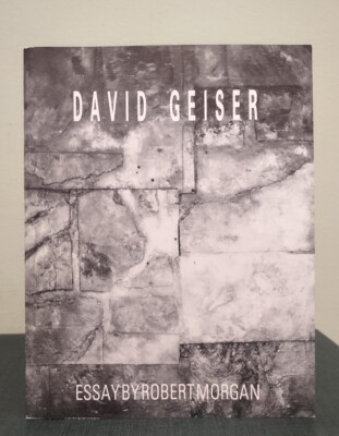 Paintings '87-'89 David Geiser Catalog Robert Morgan First 1st Edition ...