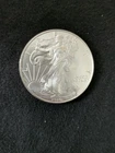 2010 American Silver Eagle 1 oz .999 Fine Silver $1 Coin ASE Bullion