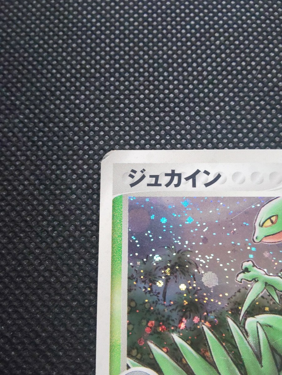Sceptile Pokémon Card Holo Japanese 1st Ed No.003/055