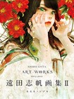 Shiho Enta - Art Works II ANIME MANGA ART Japanese Book