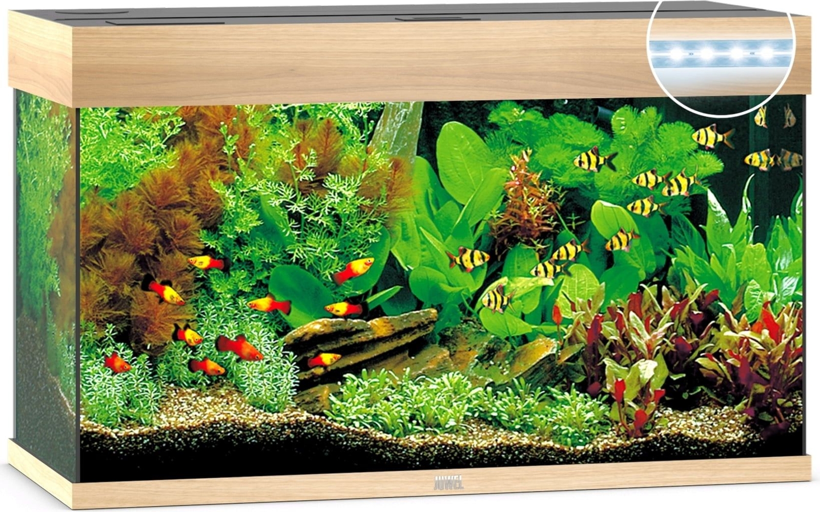 ACQUARIO JUWEL Rio 125 Led In Vetro Completo 81x36x50cm MARRONE CHIARO