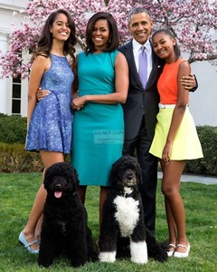 BARACK-OBAMA-amp-FAMILY-WITH-PET-DOGS-2015-EASTER-PORTRAIT-8X10-PHOTO-EP-058