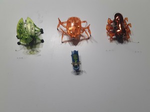 nano bugs