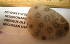 5 SPECIMENS PETOSKEY STONE LABRADORITE AMBER RUTILATED QUARTZ SEPTARIAN #079 — photo 3