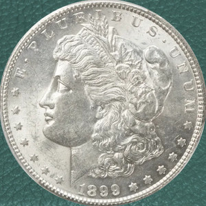 1899-S $1 Morgan Silver Dollar Circulated