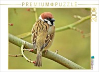 Calvendo Puzzle Feldsperling 2000 Teile Puzzle Quer | 2000 Teile Lege-GrößE 90X6