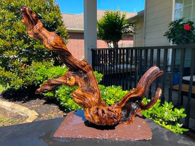 DRIFTWOOD MOPANI AQUARIUMS FISH REPTILES ART PET SUPPLIES GARDEN AQUASCAPING