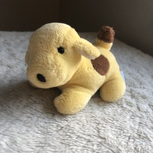 pitbull mange symptoms