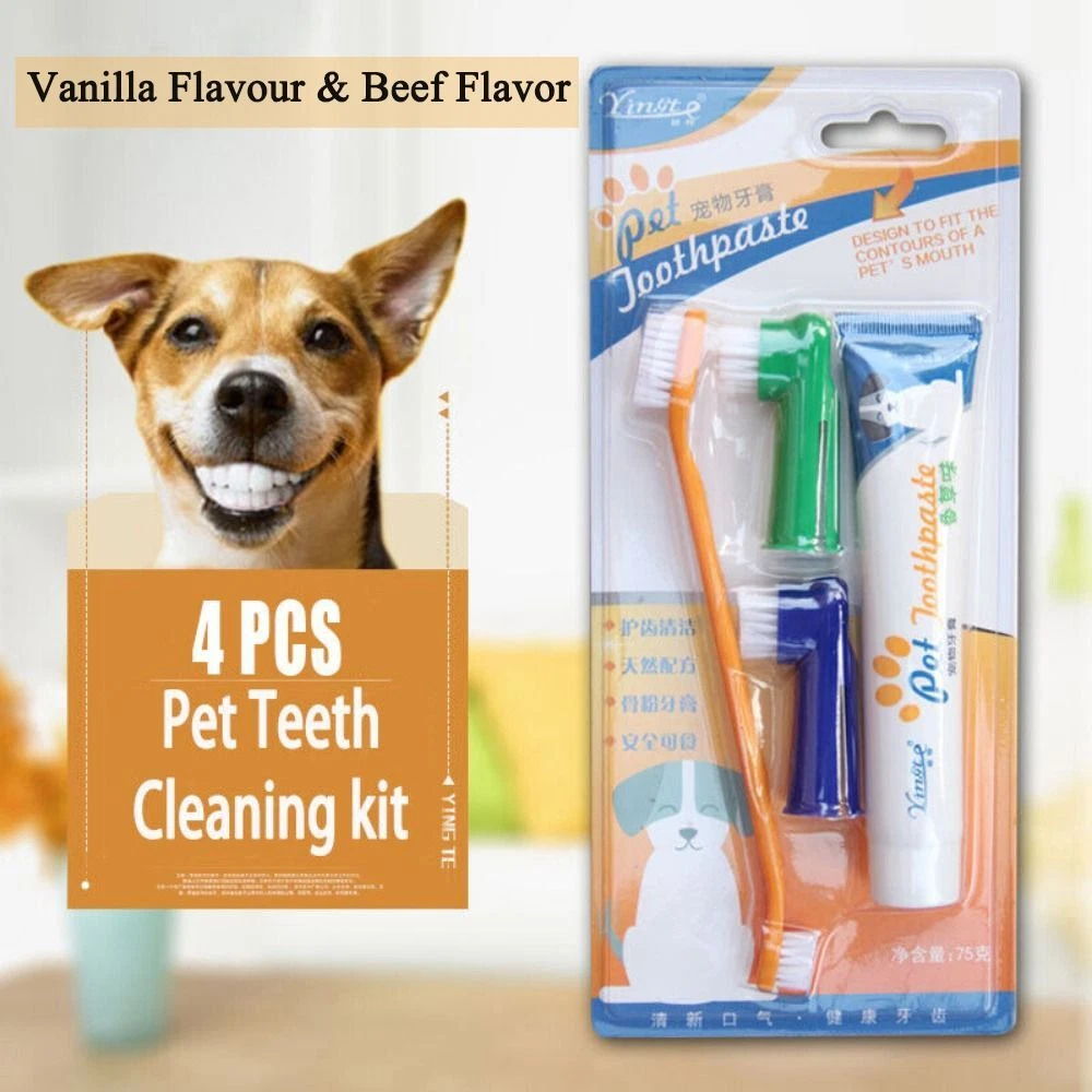 Dog toothbrush top and toothpaste ebay
