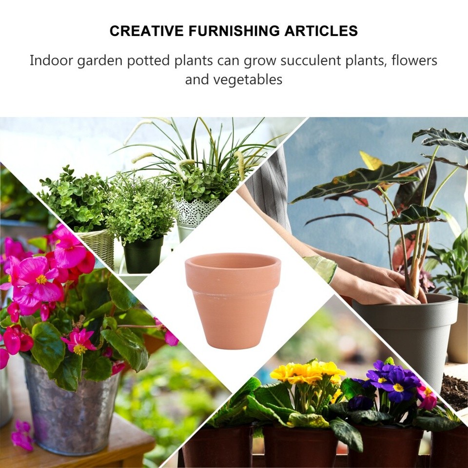 10 Pcs Cotta Pots Planters Small Flower Clay Ceramics Cactus eBay