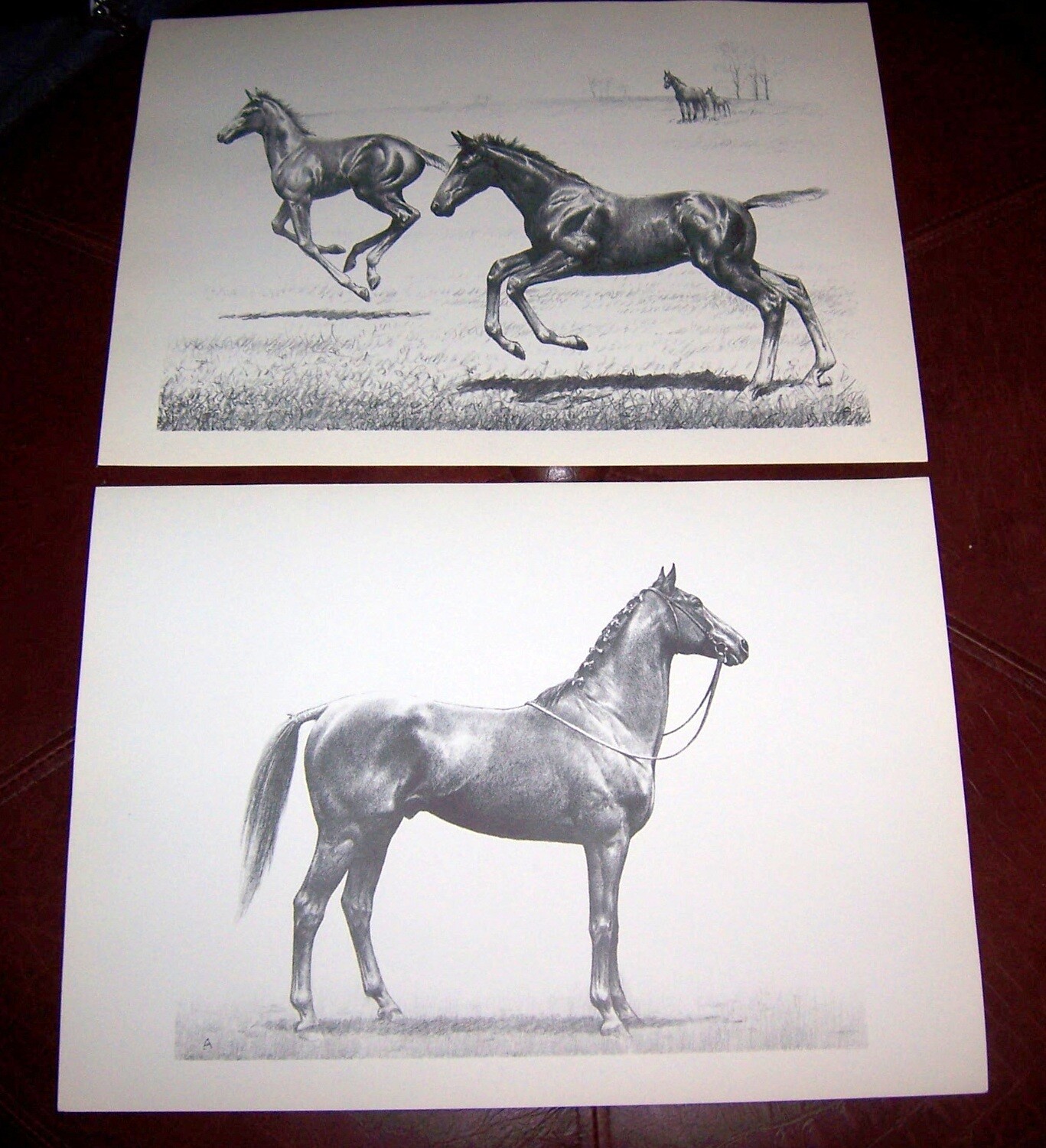 Picture 6 of 6