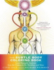 The Subtle Body Coloring Book: Learn Energetic Anatomy--from the Chakras  - GOOD