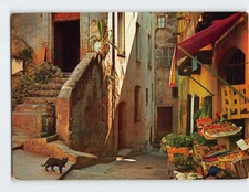 Postcard Old Street Cagnes-sur-Mer (Alps-Maritines) France
