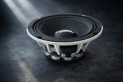 RESILIENT SOUNDS NEO 6.5 300w rms 4ohm 6.5'' speaker (sold as single speaker)