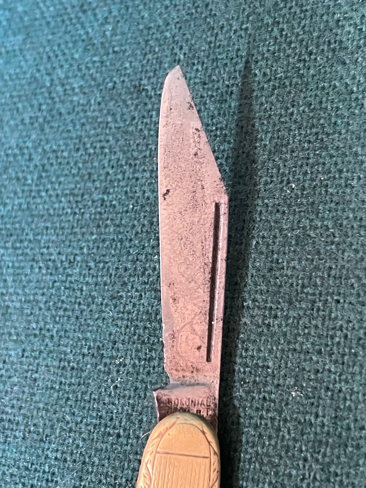 Picture 5 of 12