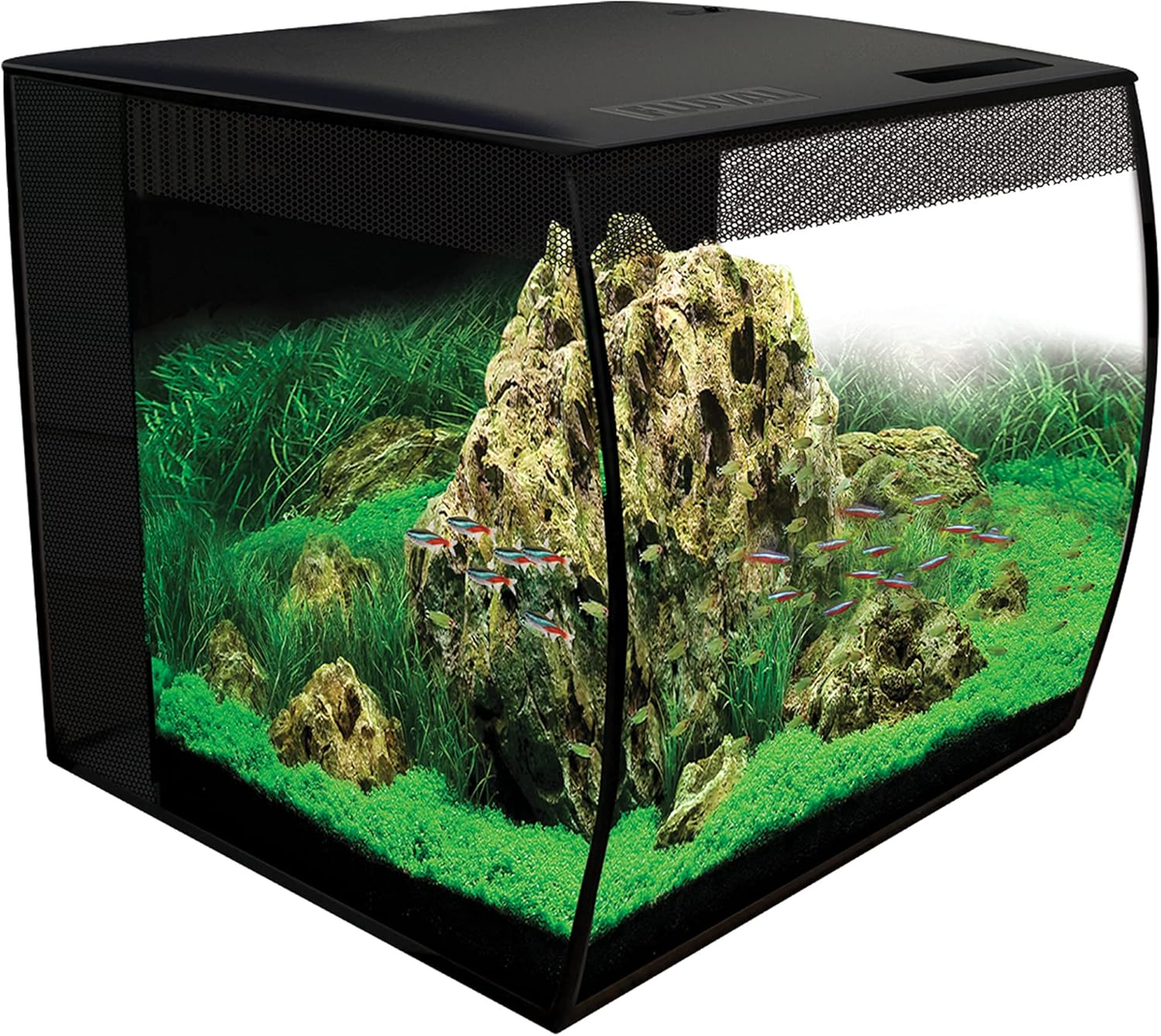 最終値下げFLUVAL FLEX FRESHWATER KIT Hagen Flex Freshwater Kit - Black - 15 Gal | eBay