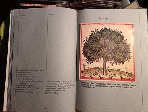 THEATRUM Sanitatis. Liber magistri. Ububchasym de Baldach Codice Casanatense - Foto 2 di 4