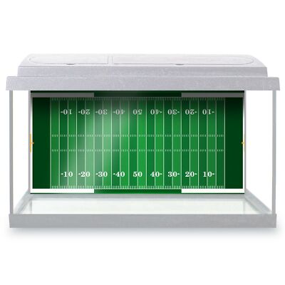 Mini Fish Football Fish Tank Football