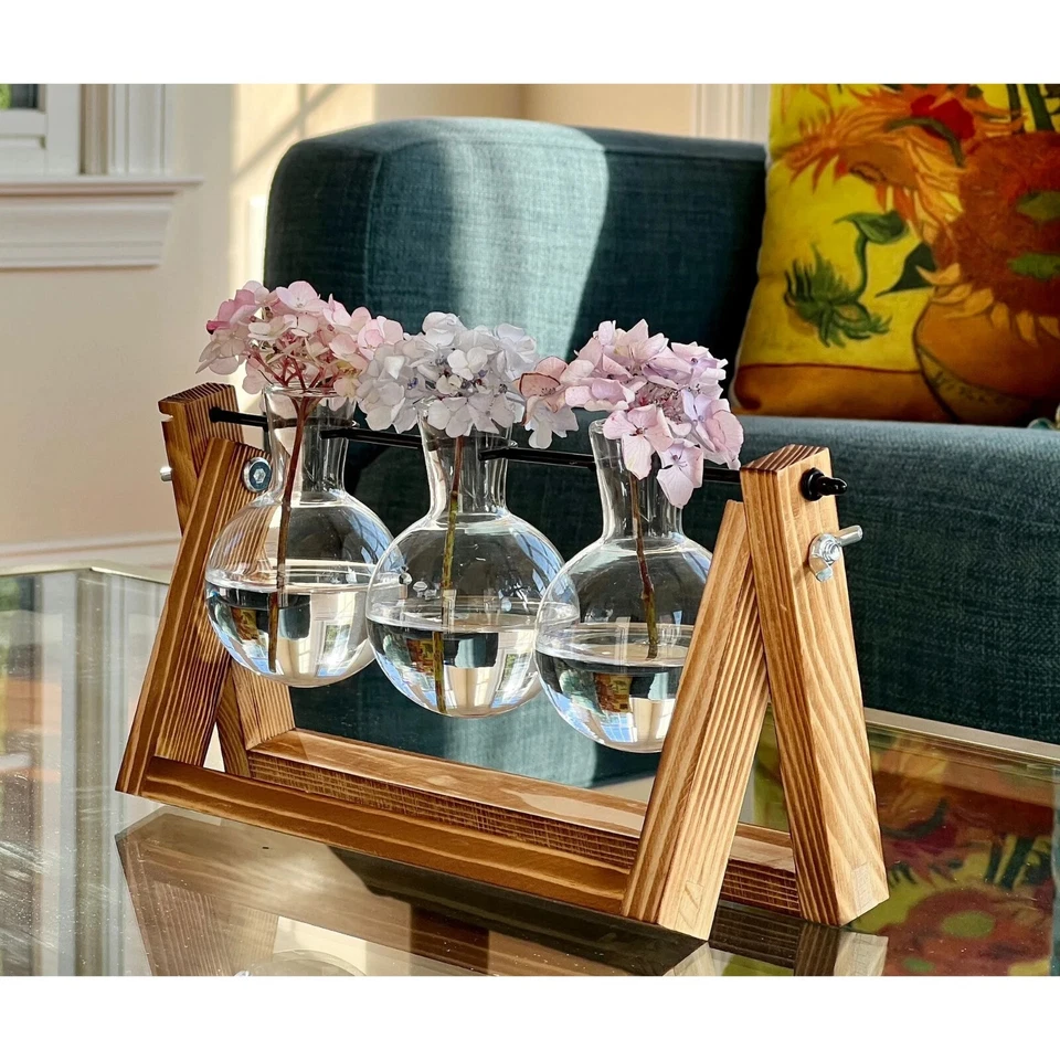 Estación de propagación de plantas soporte para jarrón de vidrio interior | Planta de tubo de ensayo hidropónico Foto 2 de 4