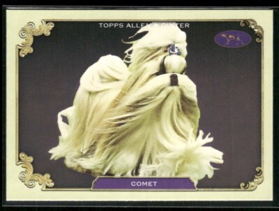 2024 TOPPS ALLEN & GINTER STARS OF THE SHOW INSERTS PICK FROM LIST! FINSH SETS!