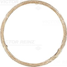VICTOR REINZ Dichtung Abgasrohr 71-11399-00 für BMW X3 F31 F20 F25 F21 F10 5er