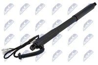 NTY AE-BM-073 Gasfeder, Kofferraum-/Laderaumbereich FüR BMW