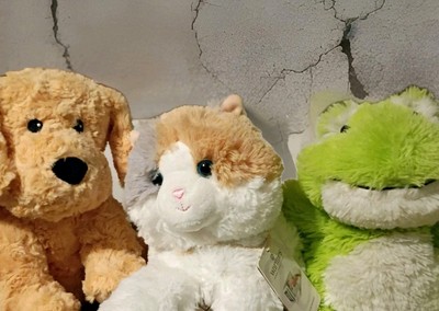 LOT 3 New Warmies Cat Dog and Frog French Lavender scented 9'' long