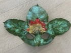 Picture 6 of 14